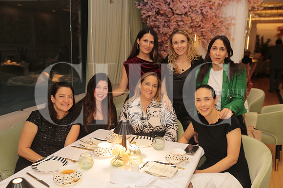Claudia Julian, Lizzy Carrillo, Alicia Davila, Carla Llarena, Cristina Villarreal y Pilar Arenas 3