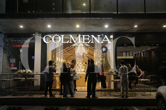 Apertura Colmena 11