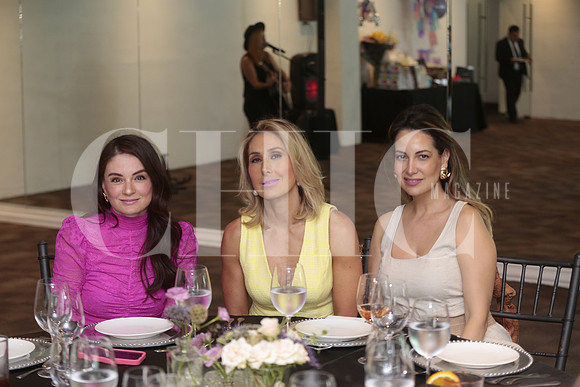 Marisol Romo, Sylvia Cortés y Priscila Elizondo 2