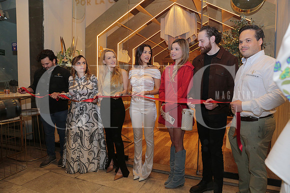 Apertura Colmena 28
