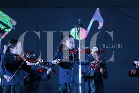 IRISH Music Festival 11
