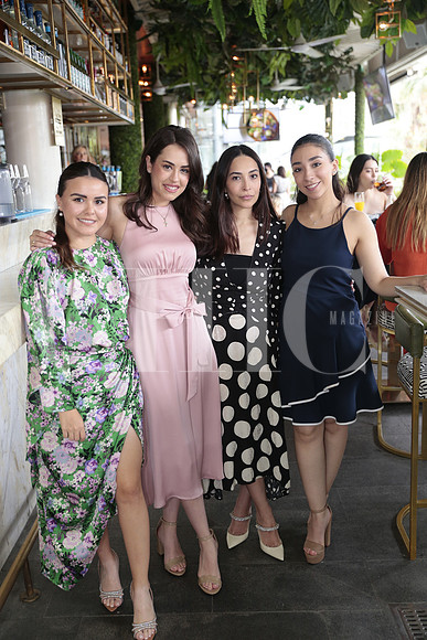 Lizeth Reyes, Daniela Limas, Sandy Martinez y Sofia Sosa 2