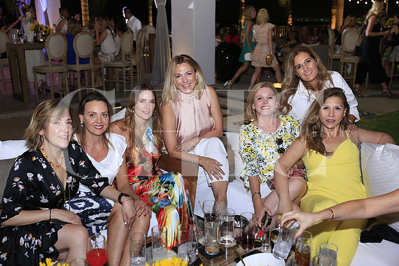 Eugenia Lopez, Catalina Macias de Milmo, Ale Hinojosa, Tere Wander de Gzz, Magaly Marcos, Ma Elena Rdz y Yolanda Ayala (4)