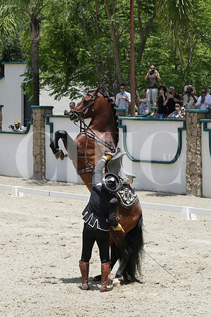 Aspectos (5)