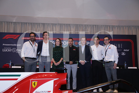 RP FANZONE GNP17