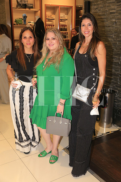 Norma Villarreal, Mariel Garcia y Cynthia Valle 1