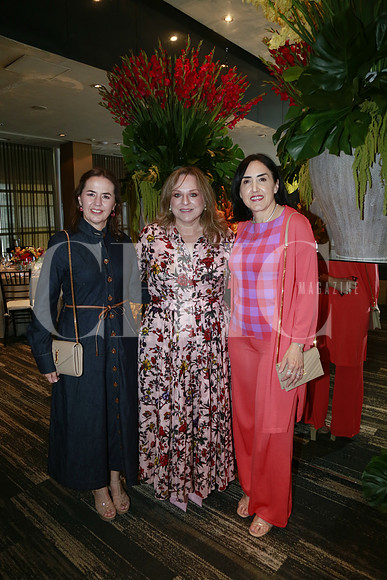 Janeth Ravisé de Santos, Sandra Villarreal de Jaques y Yolanda Garza de Segovia (3)