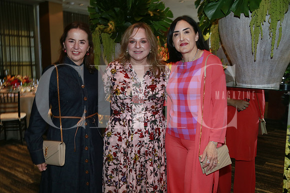 Janeth Ravisé de Santos, Sandra Villarreal de Jaques y Yolanda Garza de Segovia (2)