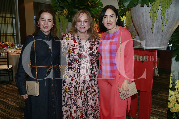 Janeth Ravisé de Santos, Sandra Villarreal de Jaques y Yolanda Garza de Segovia