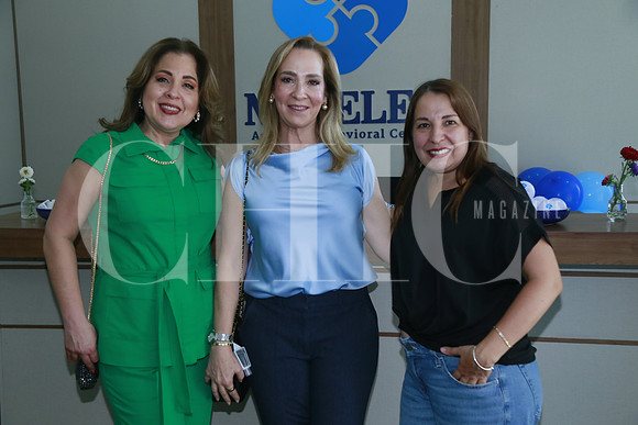 Cecilia Ordaz de treviño, María Isabel Garza de Salvador y Gabriela Lozano