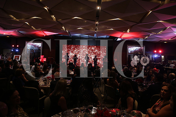 Gala Cruz Roja 1