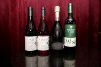 Bornos Toro 2
