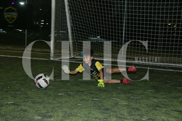 Aspectos (8)