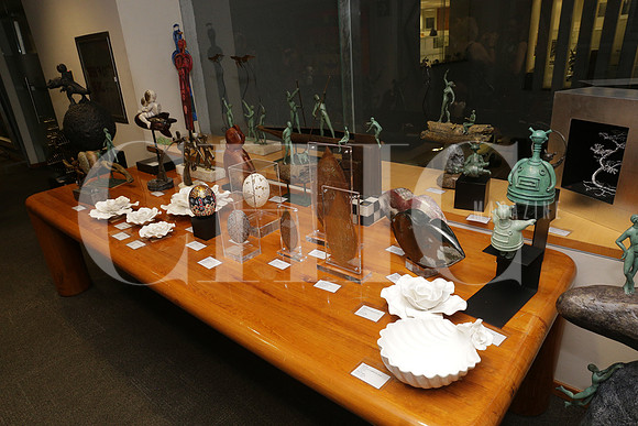 Expo venta a beneficio Cruz Roja NL 9