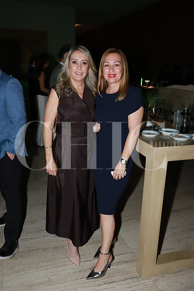 Silvia Elizondo de Montemayor e Irma Velasco 1
