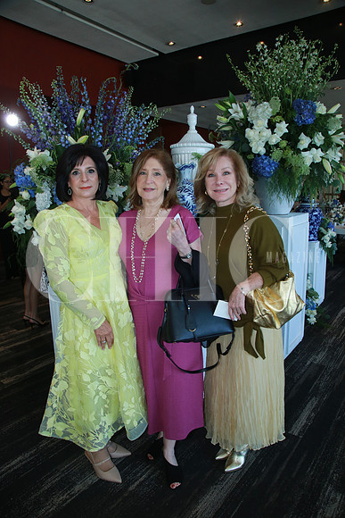 Mónica Castellanos, Pilar Martínez y Berttha Martínez (2)
