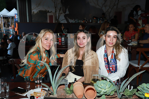 Nayeli Barragán, Silvia Rodríguez y Rocio Ayala 0