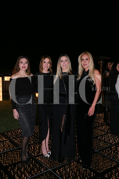 Esthela González, Lily Garza, Mayela Gayol y Maribel Valdez (2)