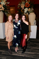Christiel Enkerlin, Yolanda Saro de Ferrara y Gaby Beltrán (3)