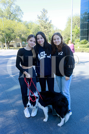 Alejandra Álvarez, Mina Garza y Roberta Flores