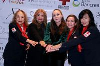 Aurora Cantú de Cagnasso, Claudia Chávez de García, Vero Batiz de Samar, Alejandra Carranza y Marisela Varela de Arriaga (9)