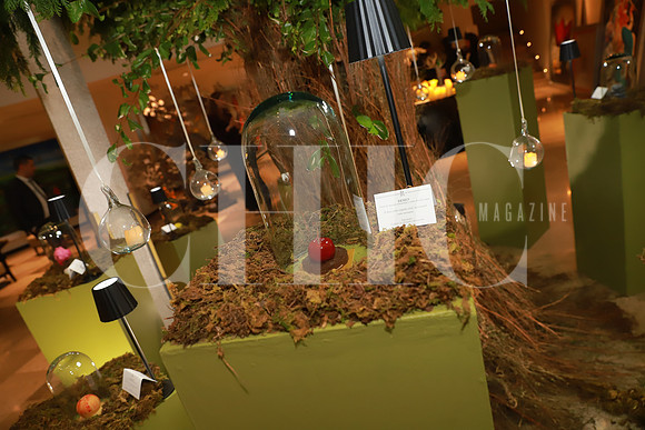 Detalles 5