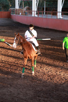 Aspectos (6)