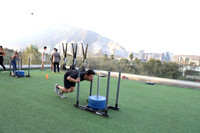 Fitality 5