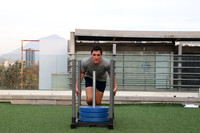 Fitality 17