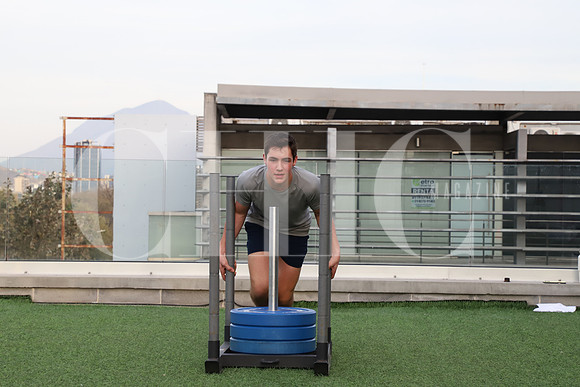 Fitality 17