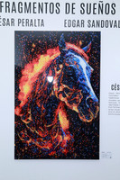 Belleza de Fuego de César Peralta