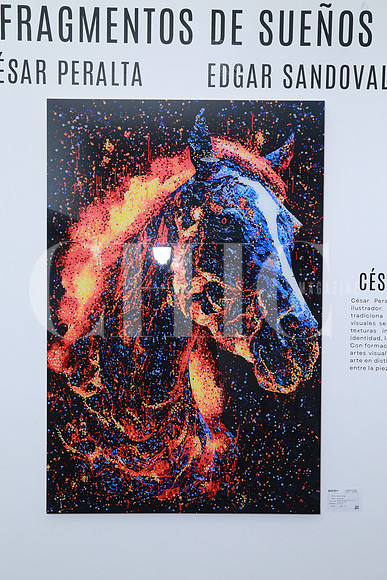 Belleza de Fuego de César Peralta