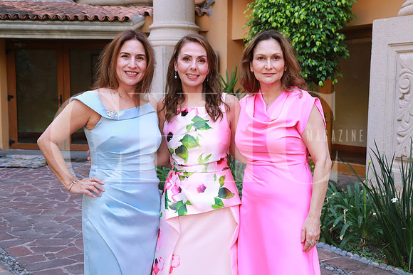 Amalia Manjarrez, Elva Flores de Monroy y Dulce María Bosque (3)