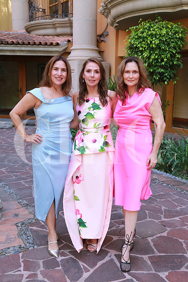Amalia Manjarrez, Elva Flores de Monroy y Dulce María Bosque (2)