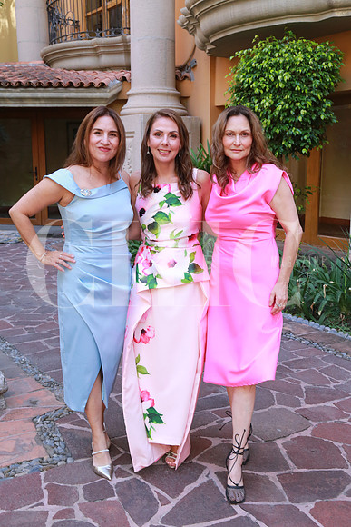 Amalia Manjarrez, Elva Flores de Monroy y Dulce María Bosque