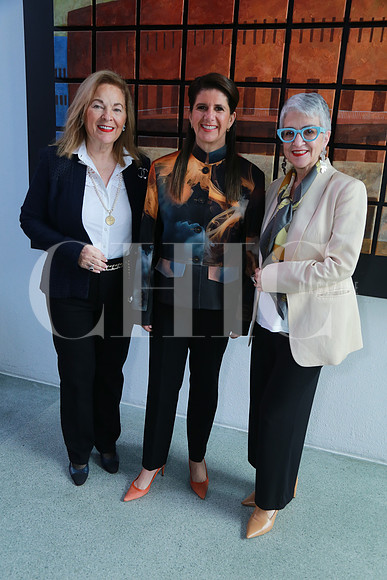 Liliana Melo de Sada, Martha Herrera y Alejandra Latapi (2)