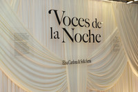 Voces de la noche1