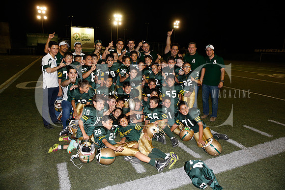 Avispones cta. Hormiguitas Campeones  20hs
