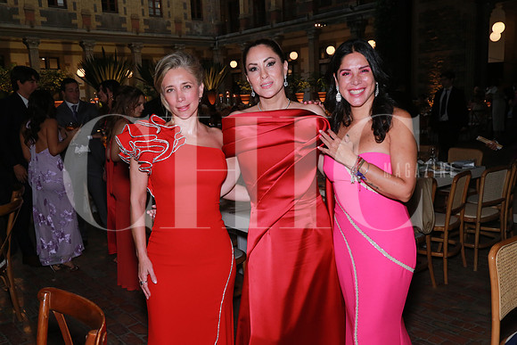 Any Alanis, (mamá de la novia) Nohemí Martínez y Gabriela De Llano (2)