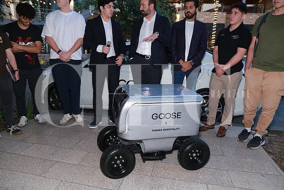 Aspectos del prototipo de robot Goose (2)