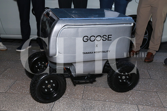 Aspectos del prototipo de robot Goose (4)