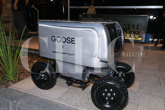 Aspectos del prototipo de robot Goose (5)