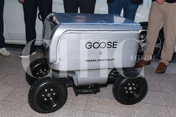 Aspectos del prototipo de robot Goose (3)