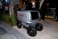 Aspectos del prototipo de robot Goose (7)