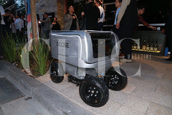 Aspectos del prototipo de robot Goose (8)