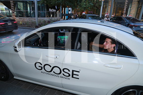 Auto Autónomo Goose (2)
