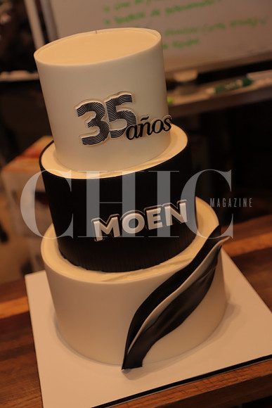 MOEN 19