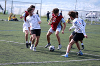 Aspectos (12)