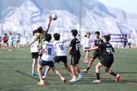 Aspectos (6)