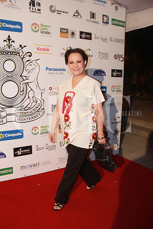 Adriana Barraza (1)